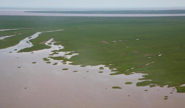 怎么才能下载官方三角洲(直接给我三角洲的官方下载链接) 怎么才能下载官方三角洲(直接给我三角洲的官方下载链接)